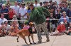 K-9 DSC_7859.jpg